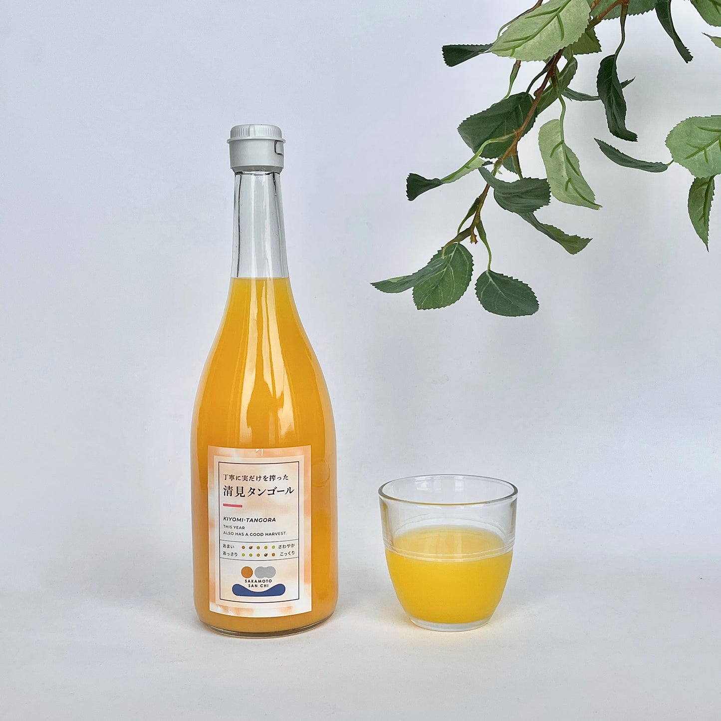 さかもとさんちのみかんジュース720ml 愛媛県 清美タンゴール