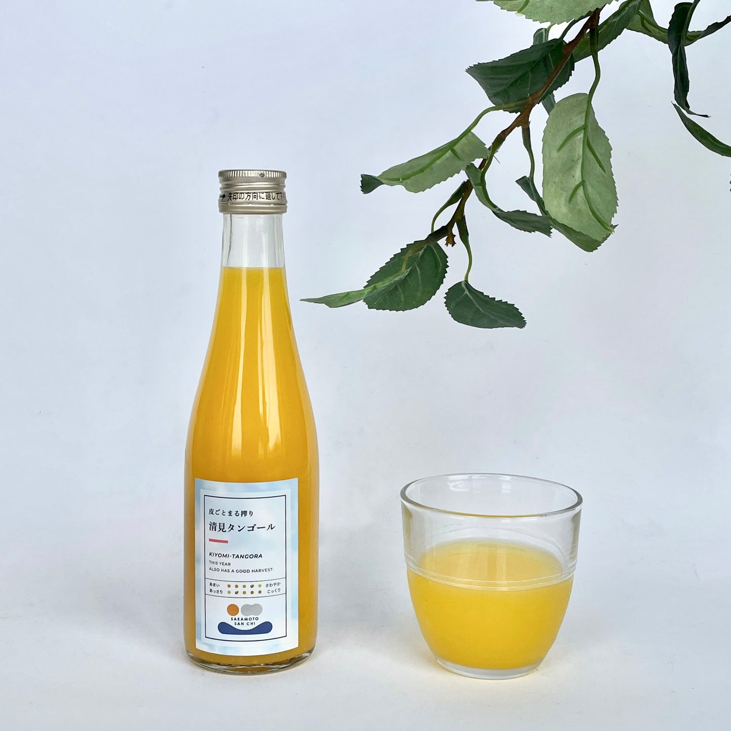 さかもとさんちのみかんジュース300ml 愛媛県 清見タンゴール